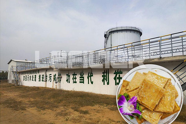 豆腐干加工废水处理工程